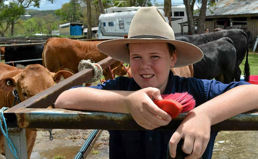 Curtis Batterham, 11, from Stanthorpe said the wet weather made his job preparing cattle for the main arena a Curtis Batterham, 11, from Stanthorpe said the wet weather made his job preparing cattle for the main arena a